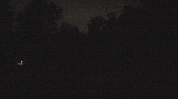 Weather camera view of Camp Guyasuta.