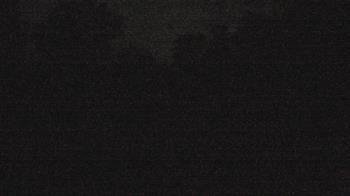 Weather camera view of Camp Guyasuta.