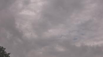 Weather camera view of The Lamplighter School.