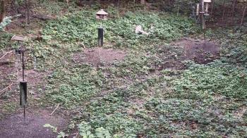 Weather camera view of Cincinnati Nature Center.