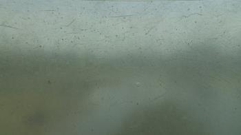 Weather camera view of Knabusch Mathematics and Science Center.