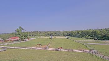 Weather camera view of Orchard Hill.