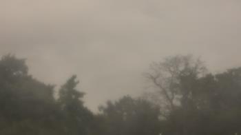 Weather camera view of Saint Peter School.