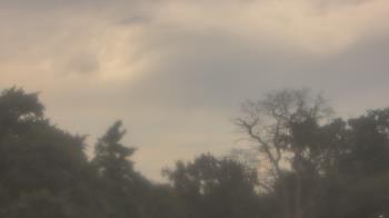 Weather camera view of Saint Peter School.