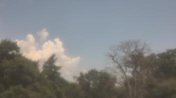Weather camera view of Saint Peter School.