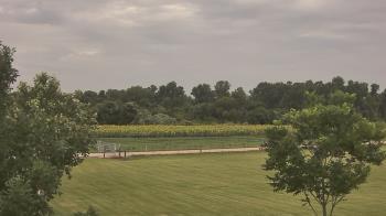 Weather camera view of Long Acres Ranch.