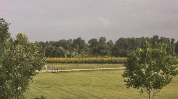 Weather camera view of Long Acres Ranch.