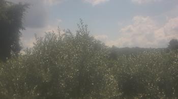 Weather camera view of Sussex Co Charter Sch For Tech.