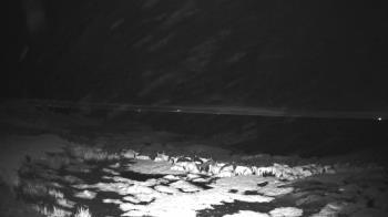 Weather camera view of Outer Island  (Thimble Island Group).