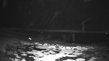Weather camera view of Outer Island  (Thimble Island Group).