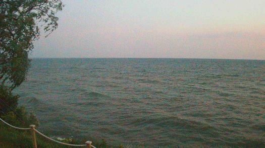 Weather camera view of Forest Lawn Beach.