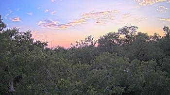 Weather camera view of Metairie Club Gardens.