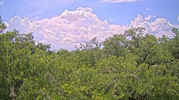 Weather camera view of Metairie Club Gardens.