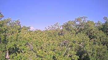 Weather camera view of Metairie Club Gardens.