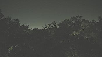 Weather camera view of Metairie Club Gardens.