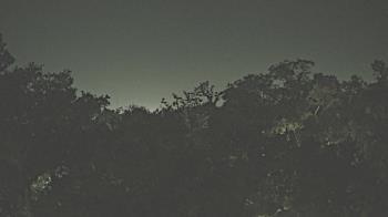 Weather camera view of Metairie Club Gardens.