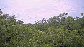 Weather camera view of Metairie Club Gardens.