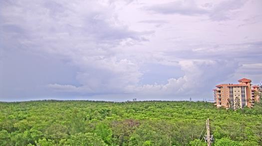 Weather camera view of WTSP-TV.