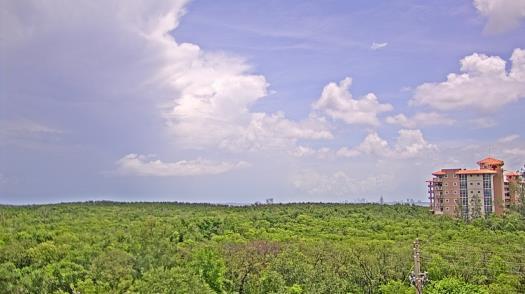 Weather camera view of WTSP-TV.