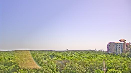 Weather camera view of WTSP-TV.